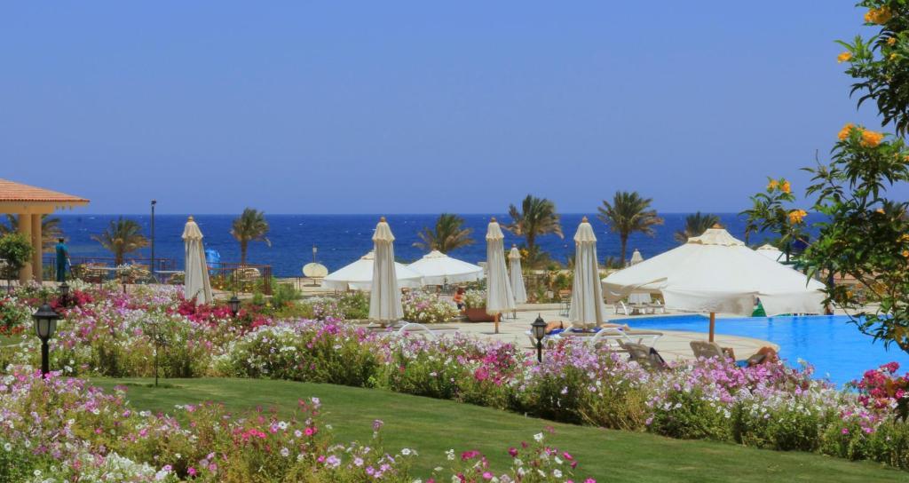 Royal Brayka Beach Resort Abu Dabbab Bagian luar foto