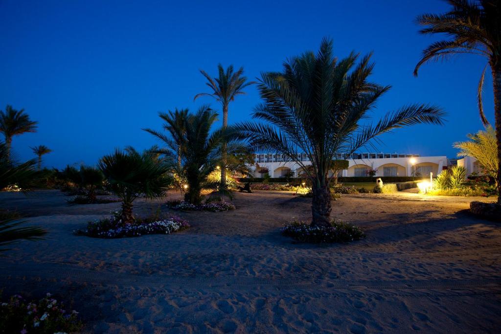 Royal Brayka Beach Resort Abu Dabbab Bagian luar foto